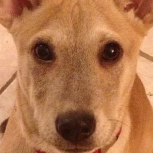 Meet your Posher, Carina